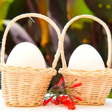 Otel Kostem - Special Category 3*