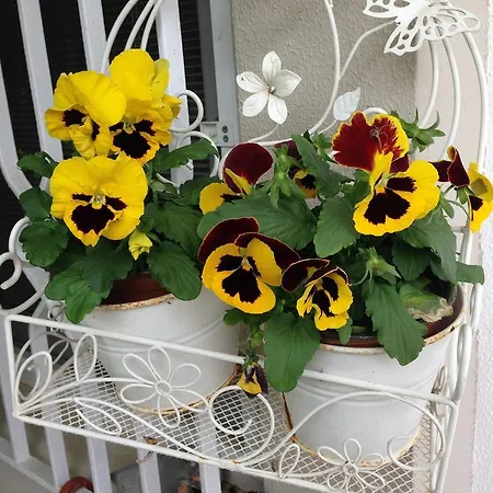 Kostem - Special Category Hotel