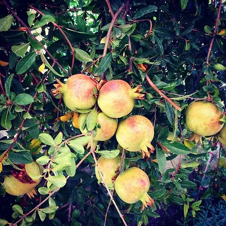 Kostem - Special Category Otel 3*